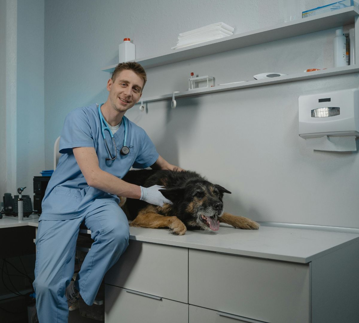 Mediciones Ambientales en Protección Radiológica Veterinaria